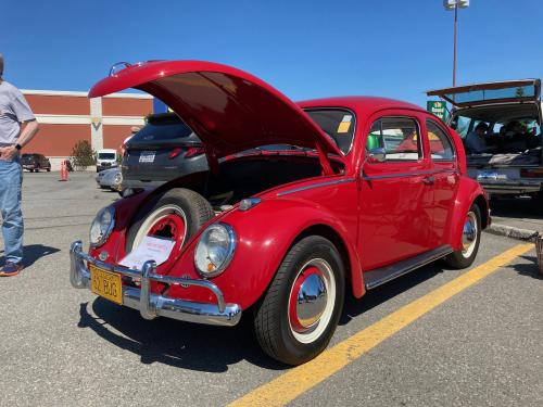 1962 Beetle