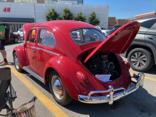 1962 Beetle