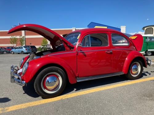 1962 Beetle