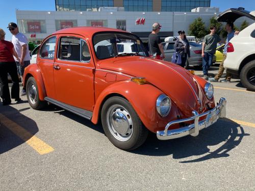 1973 Beetle - Greg Ange