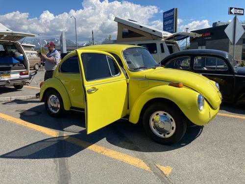 Yellow-Bug-IMG 1972